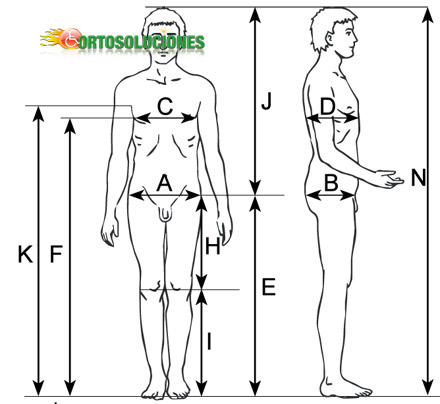 activall cross bipedestador