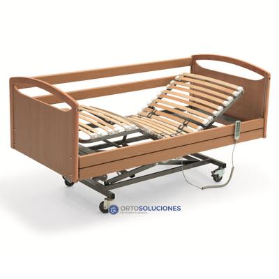 Cama articulada+carro+colchón RICOTE