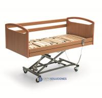 Cama articulada+carro+colchón RICOTE