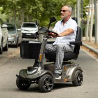 Scooter eléctrico 4 ruedas PEGASUS